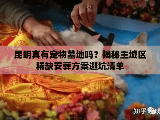 昆明真有宠物墓地吗?揭秘主城区稀缺安葬方案避坑清单 昆明真有宠物墓地吗?揭秘主城区稀缺安葬方案避坑清单