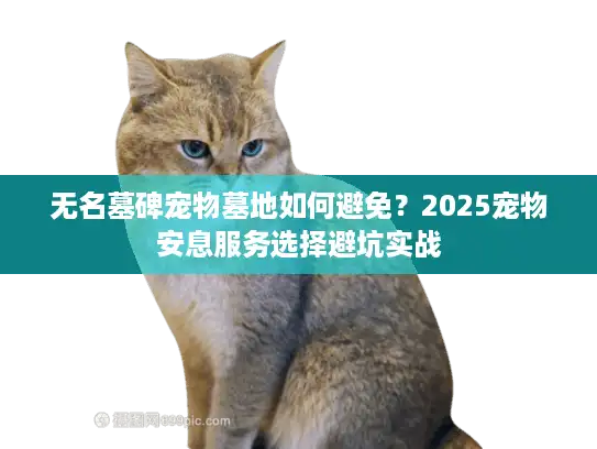 无名墓碑宠物墓地如何避免?2025宠物安息服务选择避坑实战 无名墓碑宠物墓地如何避免?2025宠物安息服务选择避坑实战