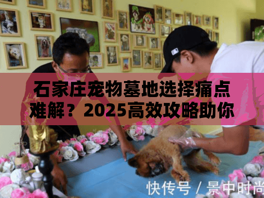 石家庄宠物墓地选择痛点难解？2025高效攻略助你避坑