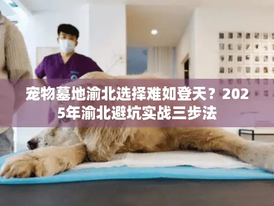 宠物墓地渝北选择难如登天？2025年渝北避坑实战三步法