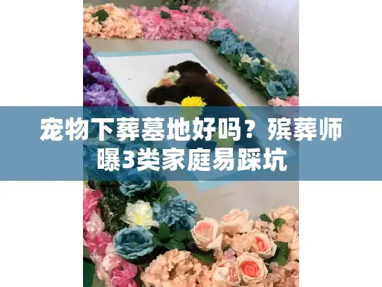 宠物下葬墓地好吗?殡葬师曝3类家庭易踩坑 宠物下葬墓地好吗?殡葬师曝3类家庭易踩坑