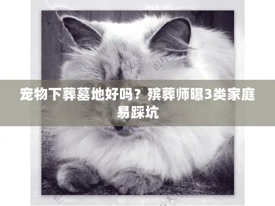 宠物下葬墓地好吗?殡葬师曝3类家庭易踩坑 宠物下葬墓地好吗?殡葬师曝3类家庭易踩坑