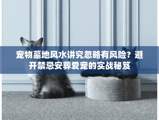 宠物墓地风水讲究忽略有风险？避开禁忌安葬爱宠的实战秘笈