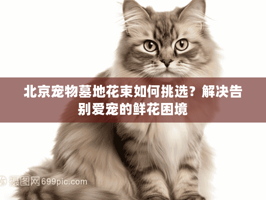 北京宠物墓地花束如何挑选？解决告别爱宠的鲜花困境