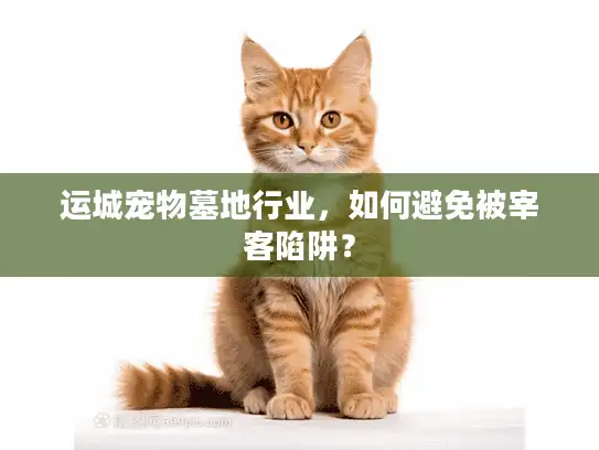 运城宠物墓地行业，如何避免被宰客陷阱？