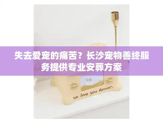 失去爱宠的痛苦？长沙宠物善终服务提供专业安葬方案