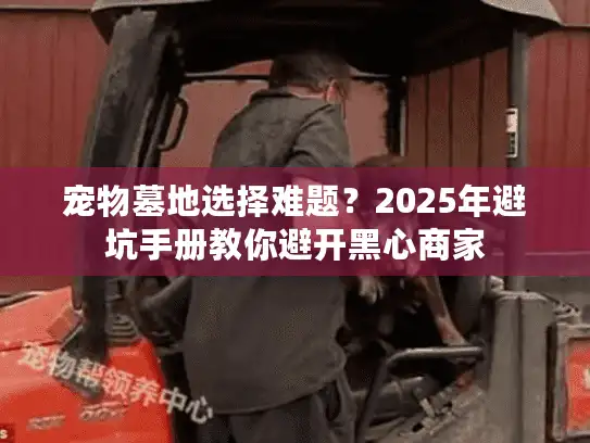 宠物墓地选择难题？2025年避坑手册教你避开黑心商家