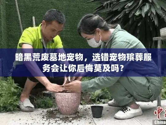 暗黑荒废墓地宠物，选错宠物殡葬服务会让你后悔莫及吗？