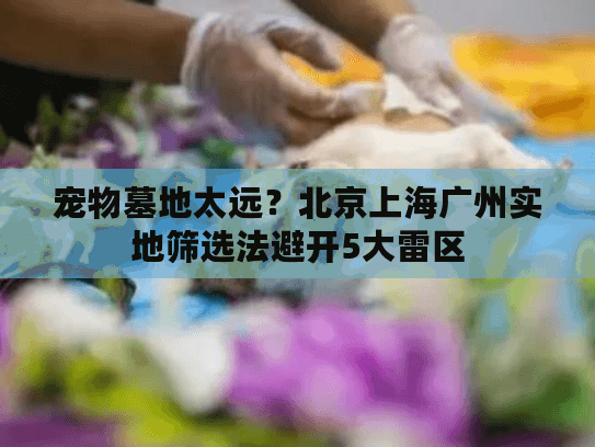 宠物墓地太远？北京上海广州实地筛选法避开5大雷区
