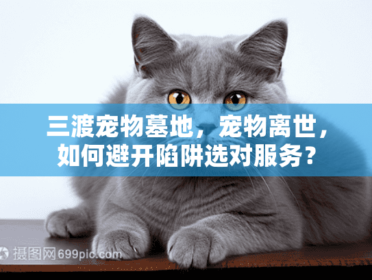 三渡宠物墓地，宠物离世，如何避开陷阱选对服务？