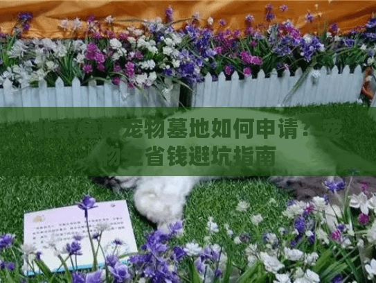 北京免费宠物墓地如何申请？宠物主省钱避坑指南