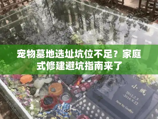 宠物墓地选址坑位不足？家庭式修建避坑指南来了