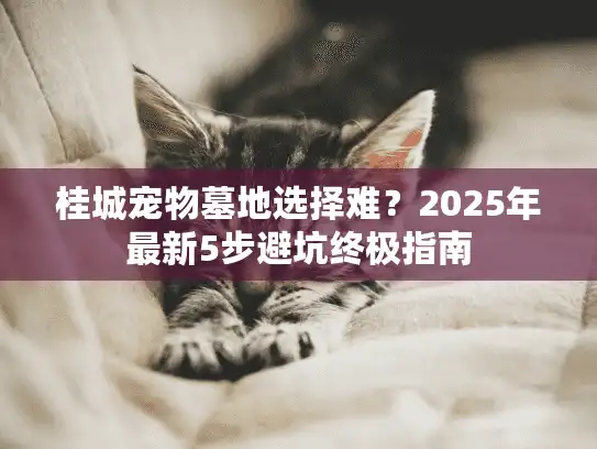 桂城宠物墓地选择难？2025年最新5步避坑终极指南