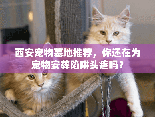 西安宠物墓地推荐，你还在为宠物安葬陷阱头疼吗？