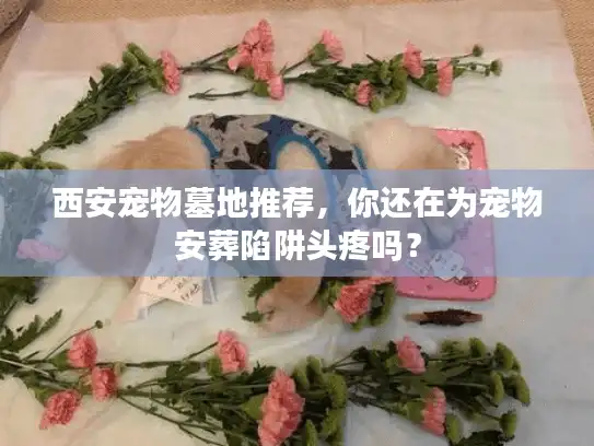 西安宠物墓地推荐，你还在为宠物安葬陷阱头疼吗？