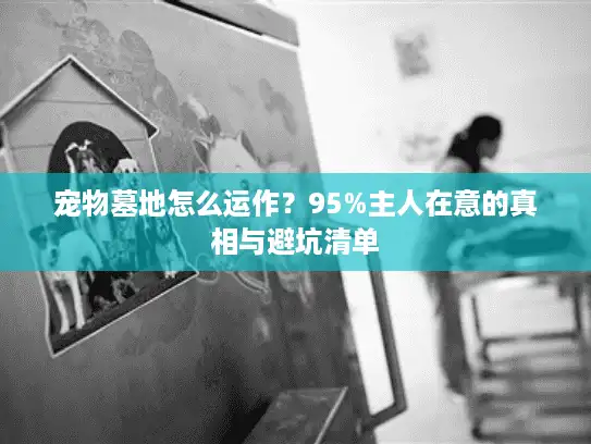 宠物墓地怎么运作？95%主人在意的真相与避坑清单
