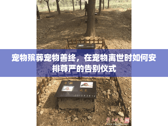 宠物殡葬宠物善终,在宠物离世时如何安排尊严的告别仪式 宠物殡葬宠物善终,在宠物离世时如何安排尊严的告别仪式