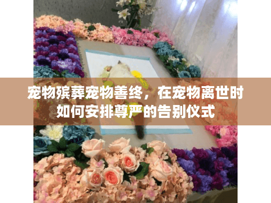 宠物殡葬宠物善终,在宠物离世时如何安排尊严的告别仪式 宠物殡葬宠物善终,在宠物离世时如何安排尊严的告别仪式