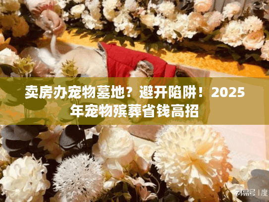卖房办宠物墓地?避开陷阱!2025年宠物殡葬省钱高招 卖房办宠物墓地?避开陷阱!2025年宠物殡葬省钱高招