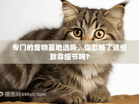 专门的宠物墓地选购,你忽略了这些致命细节吗? 专门的宠物墓地选购,你忽略了这些致命细节吗?