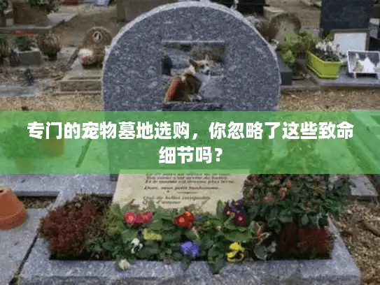 专门的宠物墓地选购,你忽略了这些致命细节吗? 专门的宠物墓地选购,你忽略了这些致命细节吗?