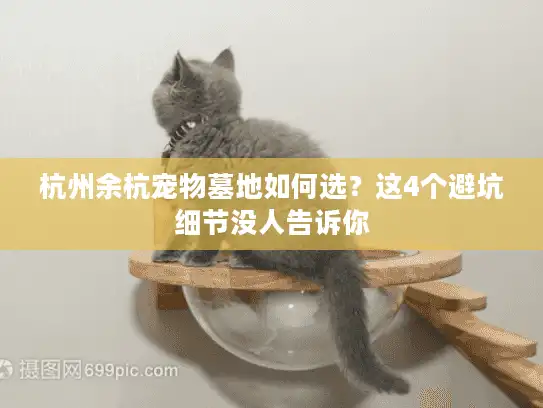 杭州余杭宠物墓地如何选?这4个避坑细节没人告诉你 杭州余杭宠物墓地如何选?这4个避坑细节没人告诉你