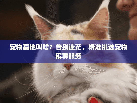 宠物墓地叫啥？告别迷茫，精准挑选宠物殡葬服务