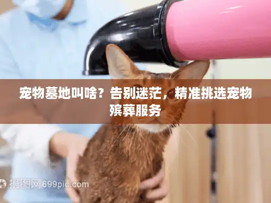 宠物墓地叫啥？告别迷茫，精准挑选宠物殡葬服务