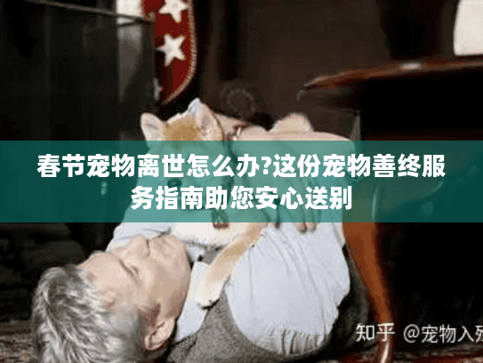 春节宠物离世怎么办?这份宠物善终服务指南助您安心送别 春节宠物离世怎么办?这份宠物善终服务指南助您安心送别