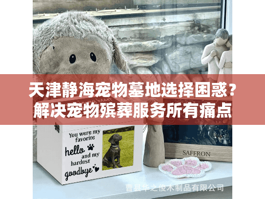 天津静海宠物墓地选择困惑？解决宠物殡葬服务所有痛点