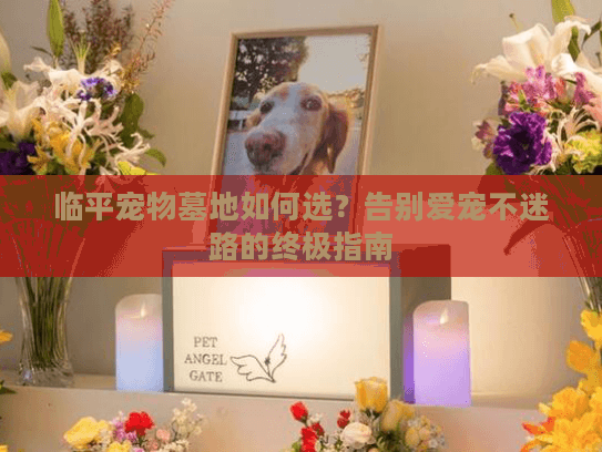 临平宠物墓地如何选？告别爱宠不迷路的终极指南