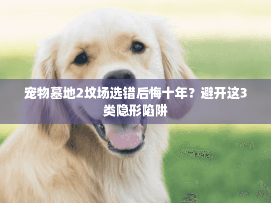 宠物墓地2坟场选错后悔十年？避开这3类隐形陷阱