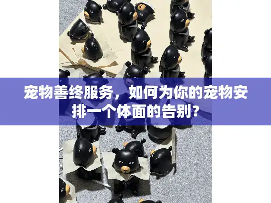 宠物善终服务，如何为你的宠物安排一个体面的告别？