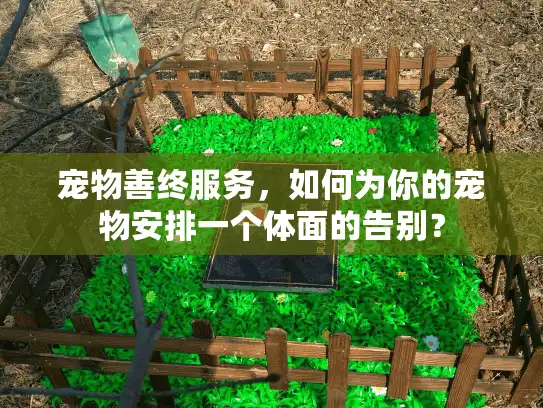 宠物善终服务，如何为你的宠物安排一个体面的告别？