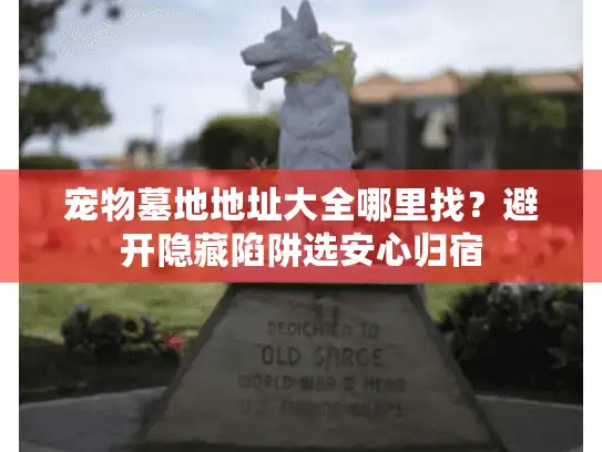 宠物墓地地址大全哪里找？避开隐藏陷阱选安心归宿
