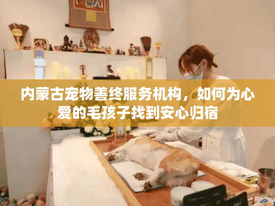 内蒙古宠物善终服务机构,如何为心爱的毛孩子找到安心归宿 内蒙古宠物善终服务机构,如何为心爱的毛孩子找到安心归宿