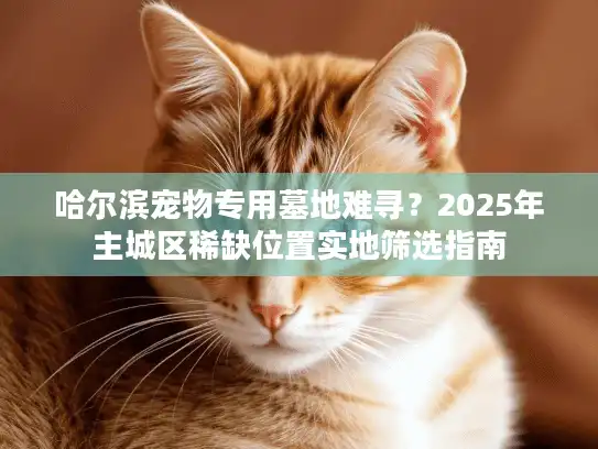 哈尔滨宠物专用墓地难寻？2025年主城区稀缺位置实地筛选指南