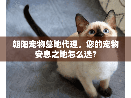 朝阳宠物墓地代理，您的宠物安息之地怎么选？