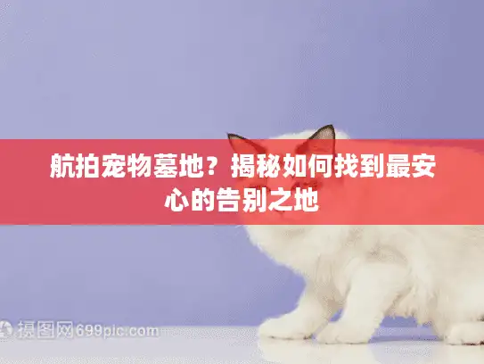 航拍宠物墓地？揭秘如何找到最安心的告别之地