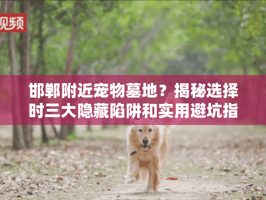 邯郸附近宠物墓地？揭秘选择时三大隐藏陷阱和实用避坑指南
