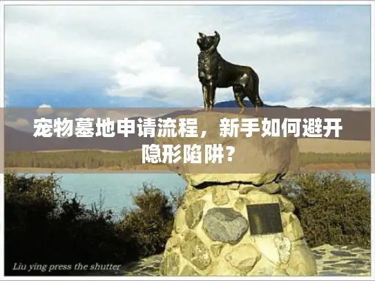 宠物墓地申请流程，新手如何避开隐形陷阱？