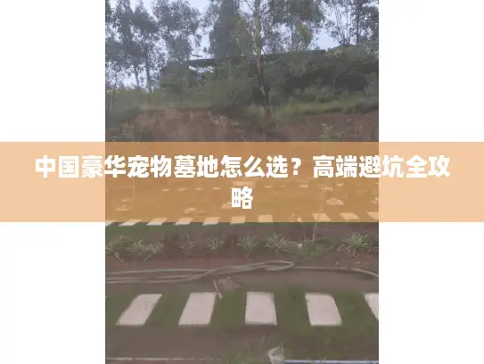 中国豪华宠物墓地怎么选?高端避坑全攻略 中国豪华宠物墓地怎么选?高端避坑全攻略