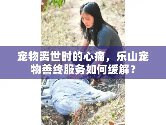 宠物离世时的心痛,乐山宠物善终服务如何缓解? 宠物离世时的心痛,乐山宠物善终服务如何缓解?