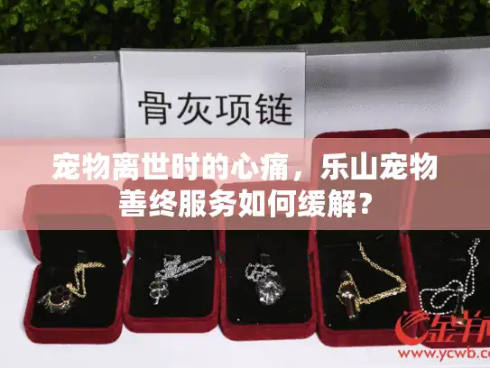 宠物离世时的心痛,乐山宠物善终服务如何缓解? 宠物离世时的心痛,乐山宠物善终服务如何缓解?