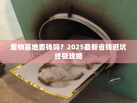 宠物墓地要钱吗？2025最新省钱避坑终极攻略