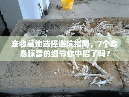 宠物墓地选择避坑指南，7个容易踩雷的细节你中招了吗？