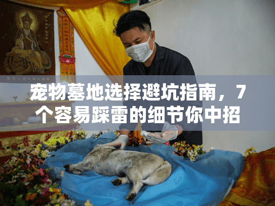 宠物墓地选择避坑指南，7个容易踩雷的细节你中招了吗？