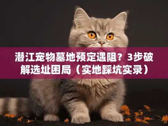 潜江宠物墓地预定遇阻？3步破解选址困局（实地踩坑实录）