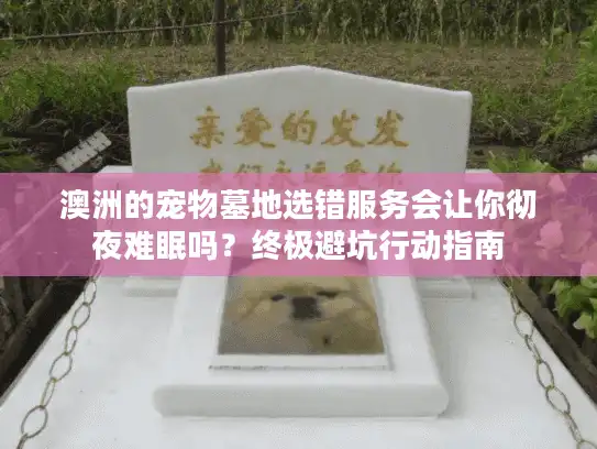 澳洲的宠物墓地选错服务会让你彻夜难眠吗？终极避坑行动指南