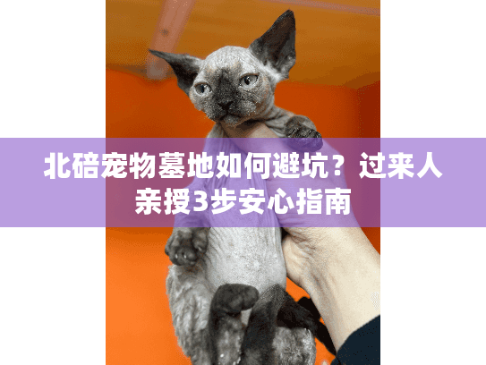 北碚宠物墓地如何避坑？过来人亲授3步安心指南